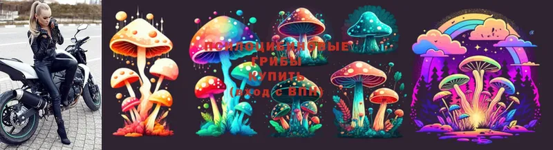 Галлюциногенные грибы Psilocybine cubensis  кракен tor  Кремёнки 